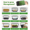 Sada na pestovanie microgreens Bentech GreenBoost