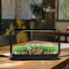 Sada na pestovanie microgreens Bentech GreenBoost