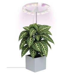 EMOS LED GROW lampa na pestovanie rastlín 8 W, časovač, stmievateľná, biela