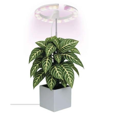 EMOS LED GROW lampa na pestovanie rastlín 8 W, časovač, stmievateľná, biela
