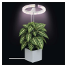 EMOS LED GROW lampa na pestovanie rastlín 8 W, časovač, stmievateľná, biela