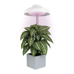 EMOS LED GROW lampa na pestovanie rastlín 5 W, časovač, biela