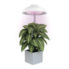 EMOS LED GROW lampa na pestovanie rastlín 5 W, časovač, biela