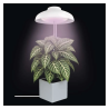 EMOS LED GROW lampa na pestovanie rastlín 5 W, časovač, biela