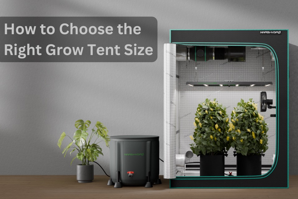 Sprievodca výberom správneho growboxu